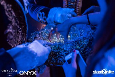Fly Beyond Tonight presents The Mystique Forest at ONYX — photo 17
