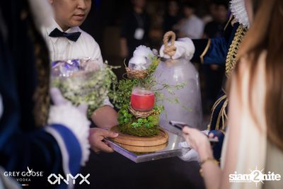 Fly Beyond Tonight presents The Mystique Forest at ONYX — photo 20