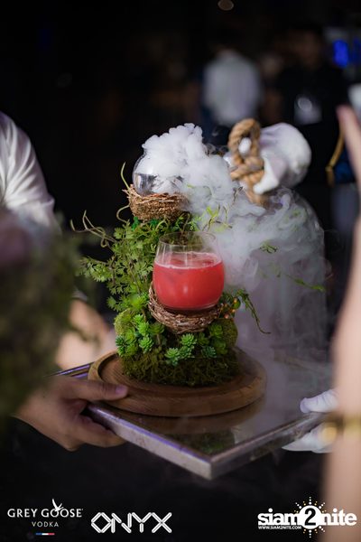 Fly Beyond Tonight presents The Mystique Forest at ONYX — photo 21