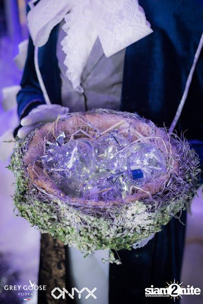 Fly Beyond Tonight presents The Mystique Forest at ONYX — photo 24
