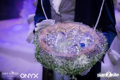 Fly Beyond Tonight presents The Mystique Forest at ONYX — photo 26