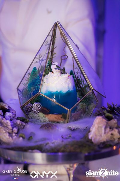 Fly Beyond Tonight presents The Mystique Forest at ONYX — photo 28