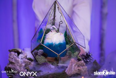 Fly Beyond Tonight presents The Mystique Forest at ONYX — photo 29