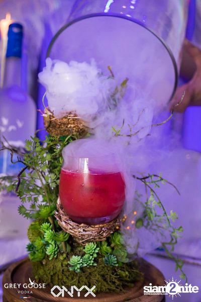 Fly Beyond Tonight presents The Mystique Forest at ONYX — photo 34