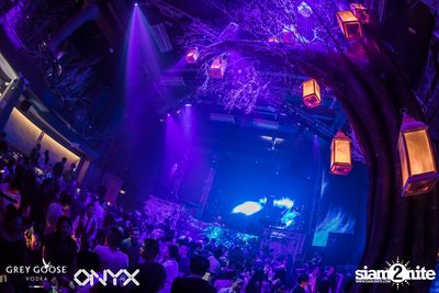 Fly Beyond Tonight presents The Mystique Forest at ONYX — photo 38