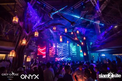 Fly Beyond Tonight presents The Mystique Forest at ONYX — photo 41