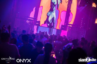 Fly Beyond Tonight presents The Mystique Forest at ONYX — photo 42