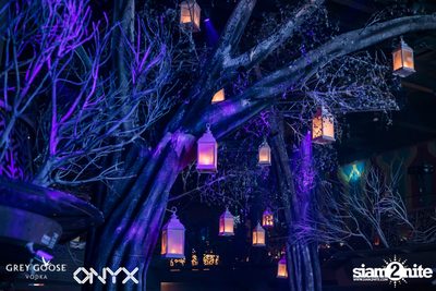 Fly Beyond Tonight presents The Mystique Forest at ONYX — photo 43
