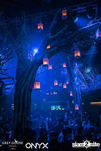 Fly Beyond Tonight presents The Mystique Forest at ONYX — photo 44