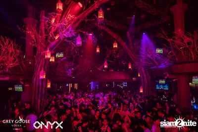 Fly Beyond Tonight presents The Mystique Forest at ONYX — photo 48
