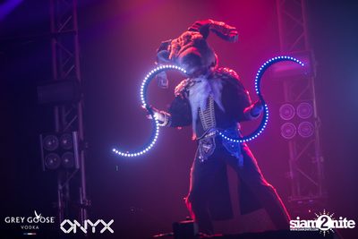 Fly Beyond Tonight presents The Mystique Forest at ONYX — photo 54