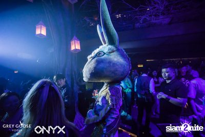Fly Beyond Tonight presents The Mystique Forest at ONYX — photo 55