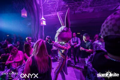 Fly Beyond Tonight presents The Mystique Forest at ONYX — photo 56