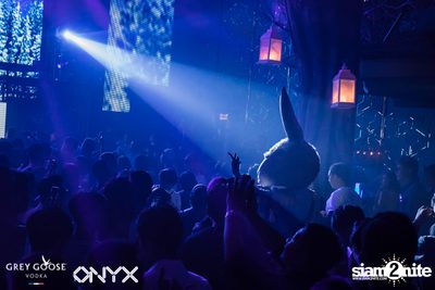 Fly Beyond Tonight presents The Mystique Forest at ONYX — photo 57