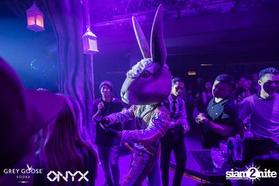 Fly Beyond Tonight presents The Mystique Forest at ONYX — photo 58