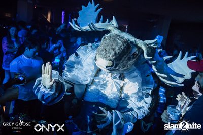 Fly Beyond Tonight presents The Mystique Forest at ONYX — photo 60