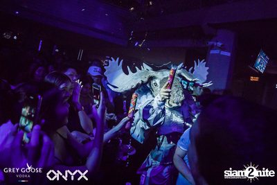 Fly Beyond Tonight presents The Mystique Forest at ONYX — photo 61