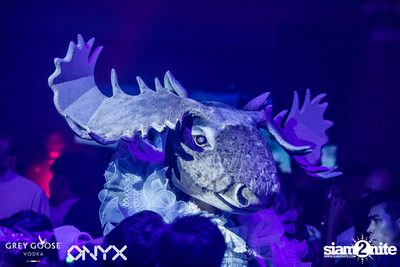Fly Beyond Tonight presents The Mystique Forest at ONYX — photo 64