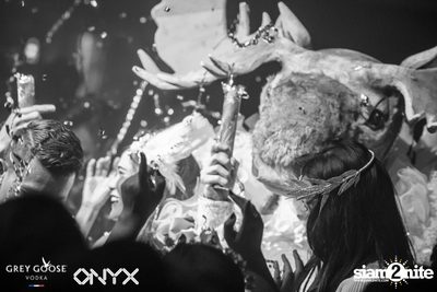 Fly Beyond Tonight presents The Mystique Forest at ONYX — photo 65