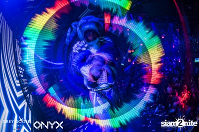 Fly Beyond Tonight presents The Mystique Forest at ONYX — photo 77