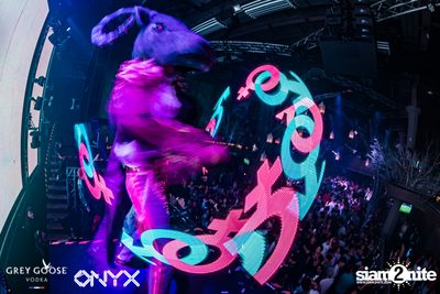 Fly Beyond Tonight presents The Mystique Forest at ONYX — photo 79