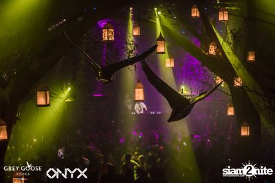 Fly Beyond Tonight presents The Mystique Forest at ONYX — photo 92