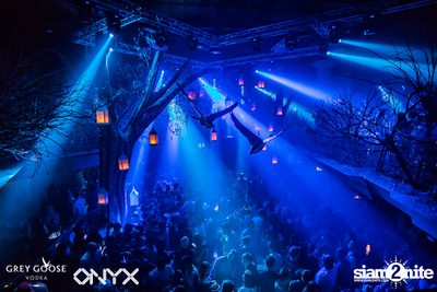 Fly Beyond Tonight presents The Mystique Forest at ONYX — photo 93