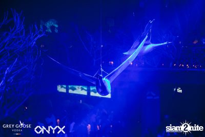 Fly Beyond Tonight presents The Mystique Forest at ONYX — photo 94