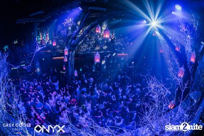 Fly Beyond Tonight presents The Mystique Forest at ONYX — photo 95