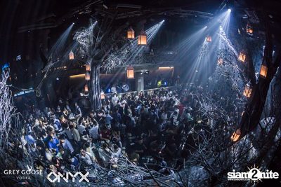 Fly Beyond Tonight presents The Mystique Forest at ONYX — photo 96