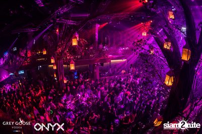 Fly Beyond Tonight presents The Mystique Forest at ONYX — photo 98