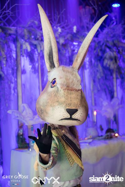 Fly Beyond Tonight presents The Mystique Forest at ONYX — photo 102