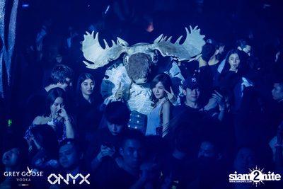 Fly Beyond Tonight presents The Mystique Forest at ONYX — photo 108
