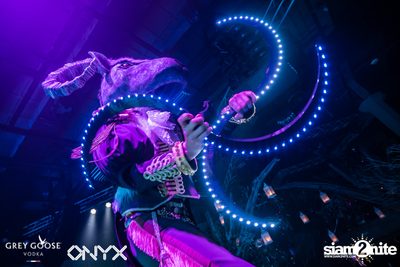 Fly Beyond Tonight presents The Mystique Forest at ONYX — photo 110