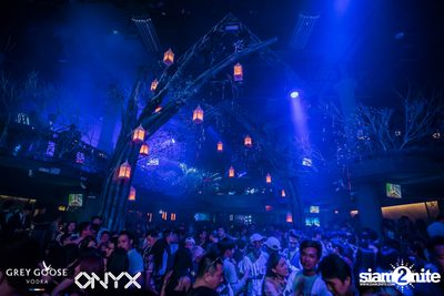 Fly Beyond Tonight presents The Mystique Forest at ONYX — photo 119