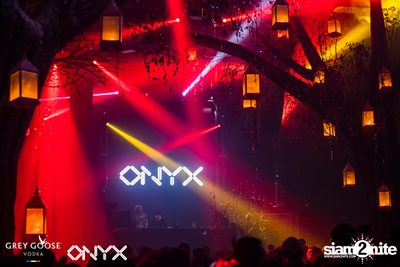 Fly Beyond Tonight presents The Mystique Forest at ONYX — photo 121