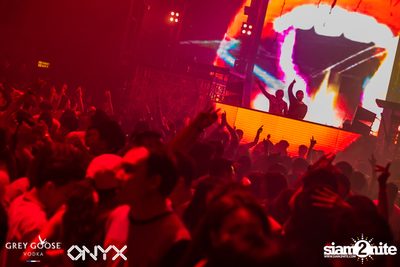 Fly Beyond Tonight presents The Mystique Forest at ONYX — photo 122