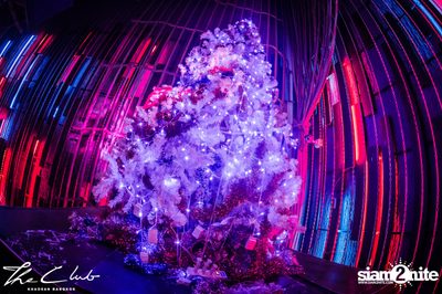 The Club Countdown 2019 Party | The Club Khaosan — photo 1