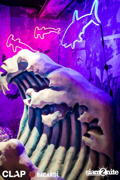 CLAP & Bacardi present Cruise Club Party at DEMO — photo 5