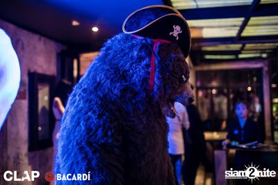 CLAP & Bacardi present Cruise Club Party at DEMO — photo 15