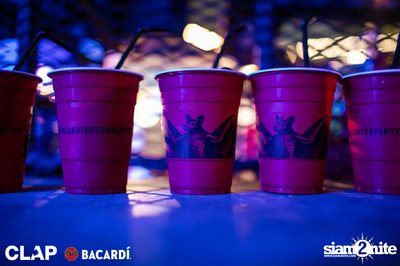 CLAP & Bacardi present Cruise Club Party at DEMO — photo 27