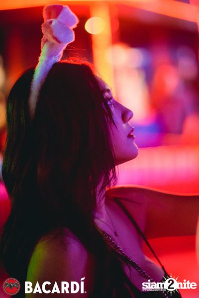META Music Festival (Day 2) — photo 61