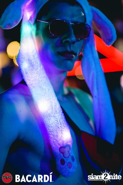 META Music Festival (Day 2) — photo 134