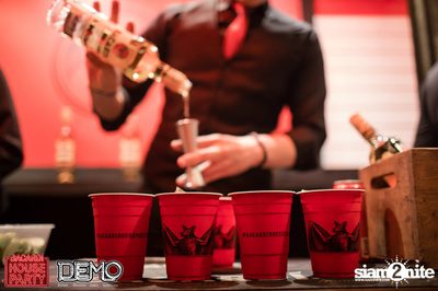 Bacardi House Party presents DJ Sura at Demo — photo 22