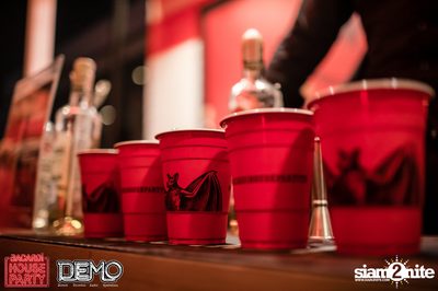Bacardi House Party presents DJ Sura at Demo — photo 23