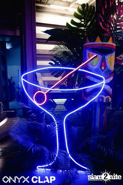 CLAP & Grey Goose pres. ALOHA Party at ONYX — photo 6