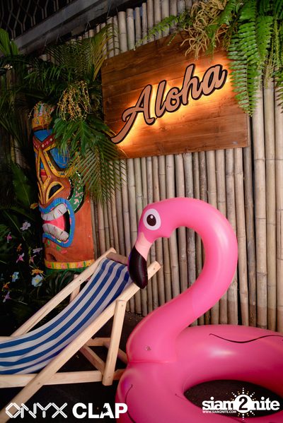 CLAP & Grey Goose pres. ALOHA Party at ONYX — photo 8