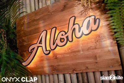 CLAP & Grey Goose pres. ALOHA Party at ONYX — photo 23