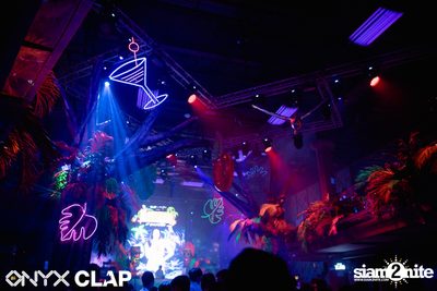 CLAP & Grey Goose pres. ALOHA Party at ONYX — photo 31