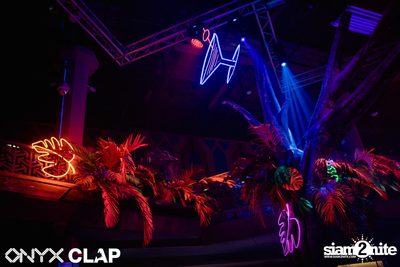 CLAP & Grey Goose pres. ALOHA Party at ONYX — photo 33